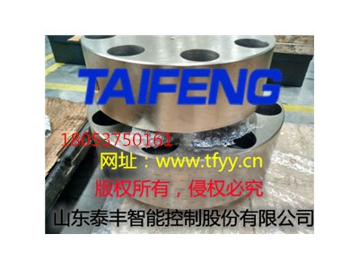 山东泰丰液压专业生产TLFA06DBZT-7X型盖板