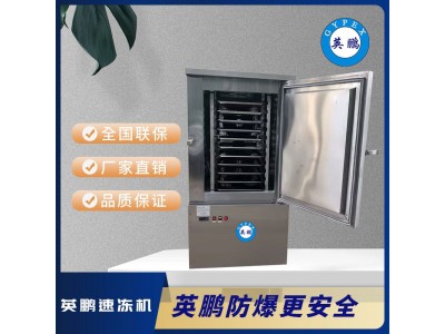 300L304不锈钢超低温商用柜式速冻机速冻柜