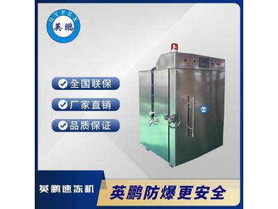 1000L304不锈钢超低温商用柜式速冻机速冻柜