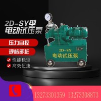 厂家电动试压泵2D-SY系列打压泵