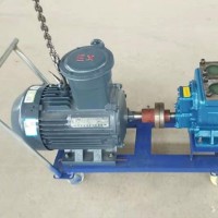 广东圆弧泵企业/世奇公司/厂家订制YHCB圆弧齿轮泵