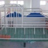甘肃母猪双体产床/沧州万晟畜牧设备公司制造双体母猪产床
