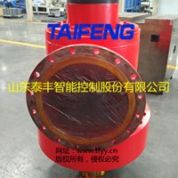 泰丰厂家生产CF1-100B型充液阀