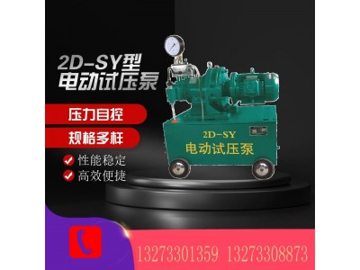 河北厂家电动试压泵供应 2D-SY型试压泵