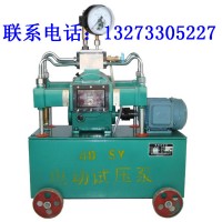 广东豪日化工行业打压泵设备 电动试压泵商
