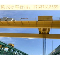 广东河源欧式行吊厂家 设备稳定性比较强