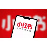 小红书运营的内容 红书怎么运营上海氖天