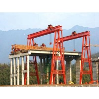 湖南益阳提梁机销售厂家 完成桥梁的施工
