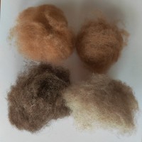 供应羊驼绒原料纺纱