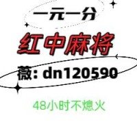 「红星新闻」正规一元一分2024(2024已更新(今日/知乎)